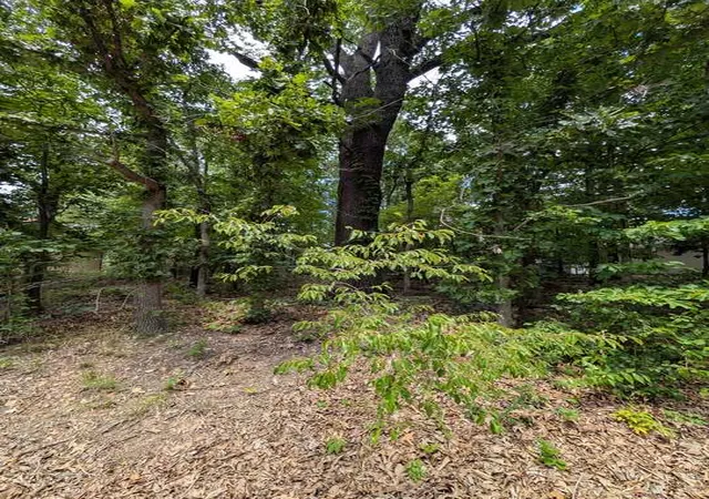 Photo 1 of Land for sale at Kirkcolm Ln, Bella Vista, AR 72715 | MLS# 1355604 | Listing updated on 2026-07-17