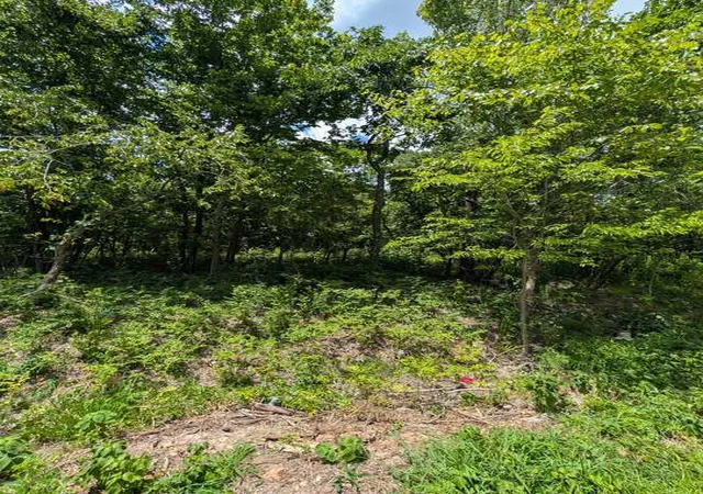 Photo 3 of Land for sale at Kirkcolm Ln, Bella Vista, AR 72715 | MLS# 1355604 | Listing updated on 2026-07-17