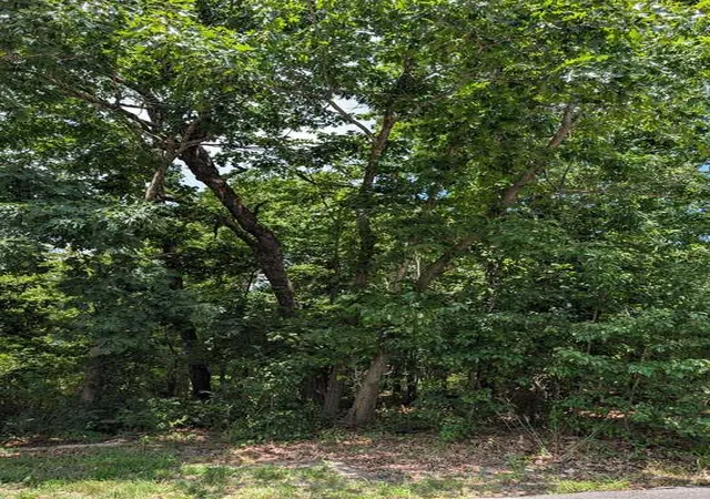 Photo 1 of Land for sale at Campbell Ln, Bella Vista, AR 72715 | MLS# 1355607 | Listing updated on 2026-07-17