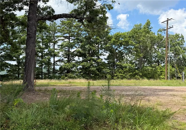 13th image of 87 Nc 6829, Jasper, AR 72641 | MLS# 1355594