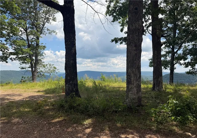 2nd image of 87 Nc 6829, Jasper, AR 72641 | MLS# 1355594