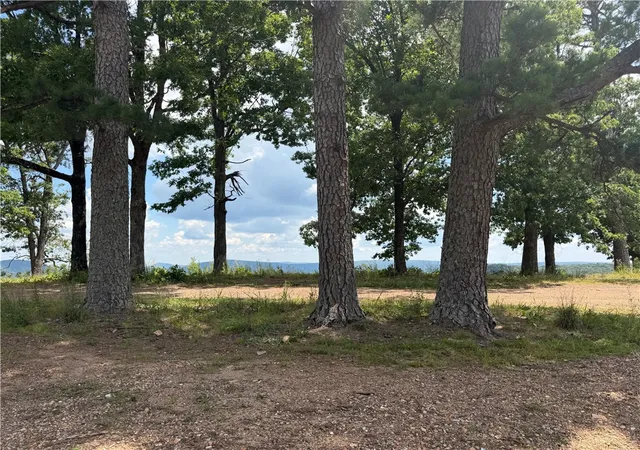 3rd image of 87 Nc 6829, Jasper, AR 72641 | MLS# 1355594