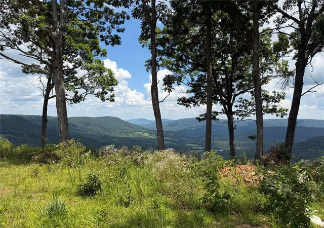 3rd image of Lot 4 Nc 6829, Jasper, AR 72641 | MLS# 1355682