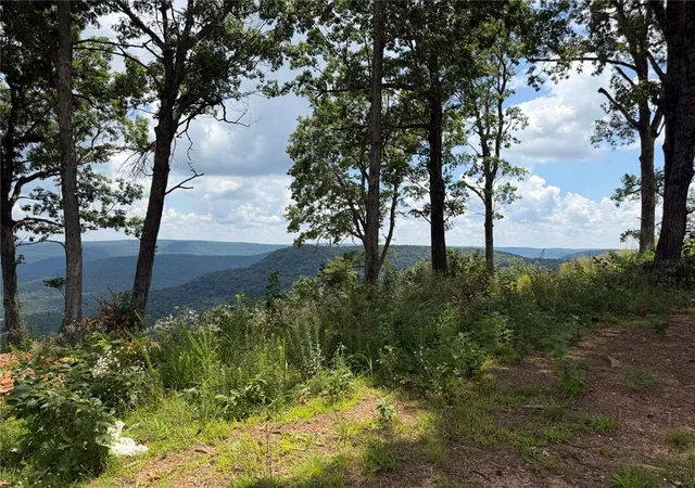 4th image of Lot 4 Nc 6829, Jasper, AR 72641 | MLS# 1355682