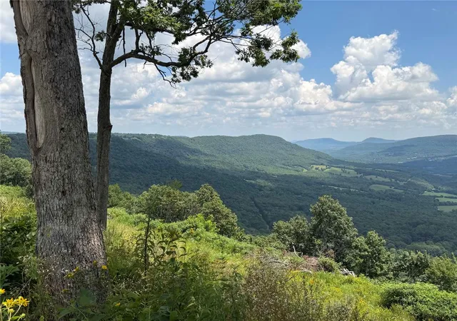5th image of Lot 4 Nc 6829, Jasper, AR 72641 | MLS# 1355682