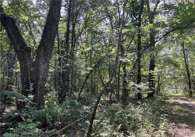 3rd image of Meadow Creek Dr, Harrison, AR 72601 | MLS# 1355701
