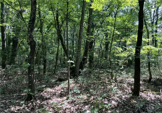 4th image of Meadow Creek Dr, Harrison, AR 72601 | MLS# 1355701