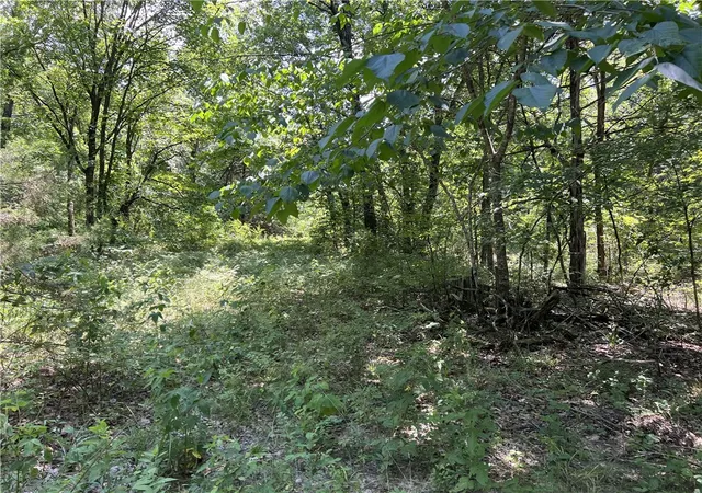 5th image of Meadow Creek Dr, Harrison, AR 72601 | MLS# 1355701