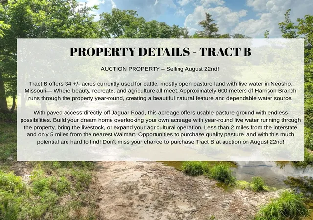 Homes for sale in Neosho, MO | Tract B - 34 +/- Acres Jaguar Rd, Neosho, MO 64850 | MLS# 1355698