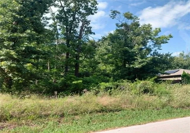 image of 52 & 54 Kent Dr, Bella Vista, AR 72714 | MLS# 1355703