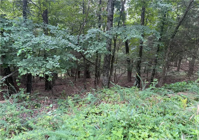 1st image of Bowen, Goshen, AR 72735 | MLS# 1355655