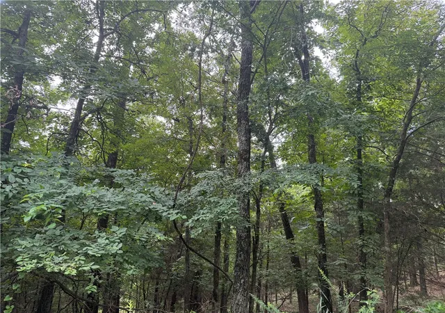 3rd image of Bowen, Goshen, AR 72735 | MLS# 1355655