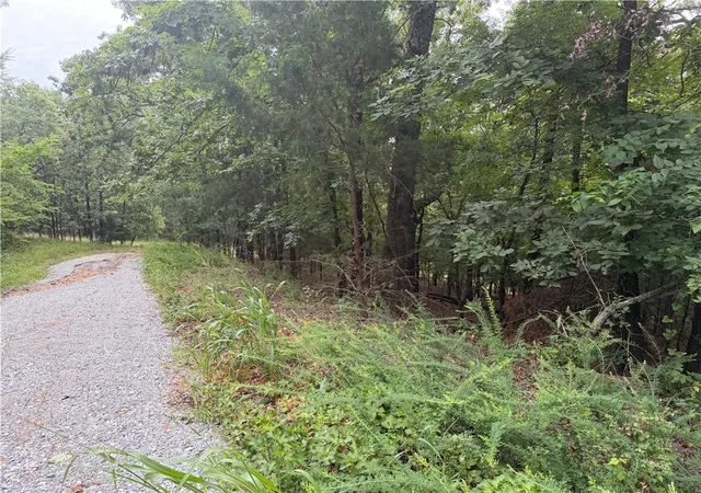 4th image of Bowen, Goshen, AR 72735 | MLS# 1355655
