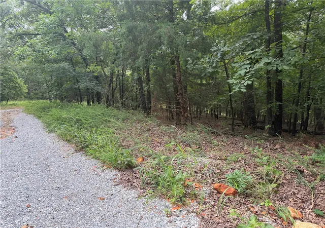 5th image of Bowen, Goshen, AR 72735 | MLS# 1355655