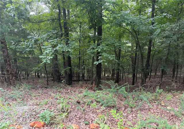 6th image of Bowen, Goshen, AR 72735 | MLS# 1355655