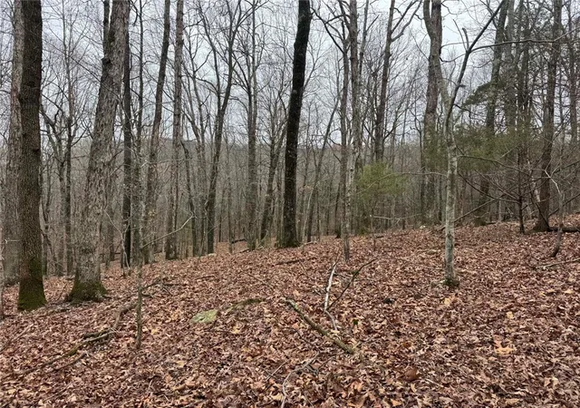 23rd image of Tbd Nc 6065, Jasper, AR 72641 | MLS# 1355888