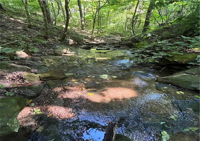 4th image of Tbd Nc 6065, Jasper, AR 72641 | MLS# 1355888