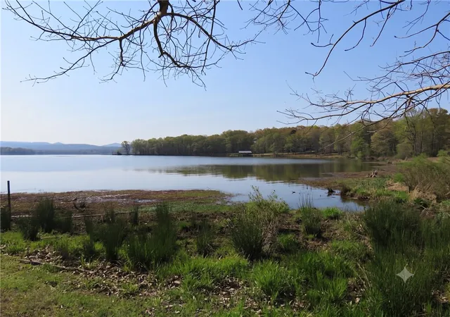 38th image of 603 Schulte Rd, New Blaine, AR 72851 | MLS# 1355920