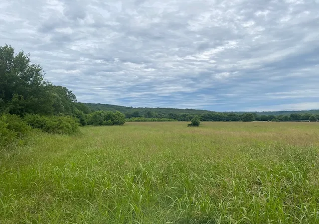 1st image of Hwy 16 Ar 16, Elkins, AR 72727 | MLS# 1351400