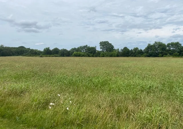 4th image of Hwy 16 Ar-16, Elkins, AR 72727 | MLS# 1351400