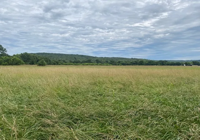 5th image of Hwy 16 Ar-16, Elkins, AR 72727 | MLS# 1351400
