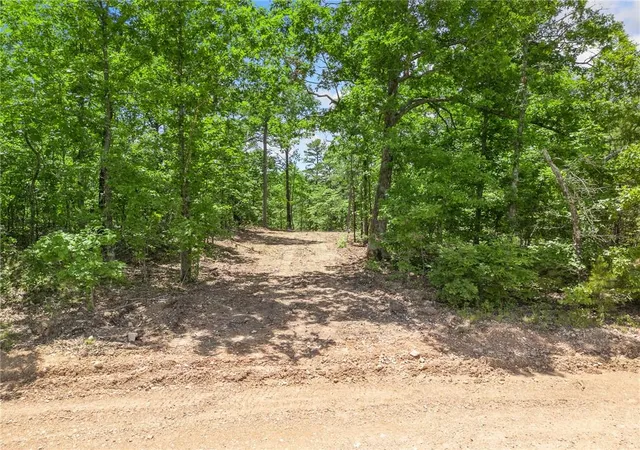 2nd image of Tbd Morgan Cave Rd, Harrison, AR 72601 | MLS# 1355972
