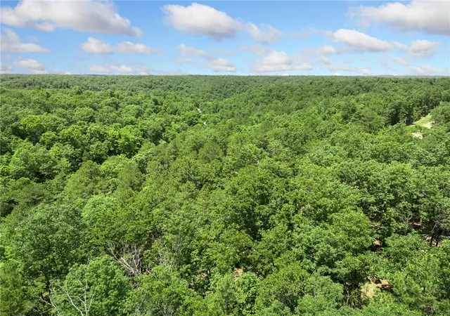 30th image of Tbd Morgan Cave Rd, Harrison, AR 72601 | MLS# 1355972