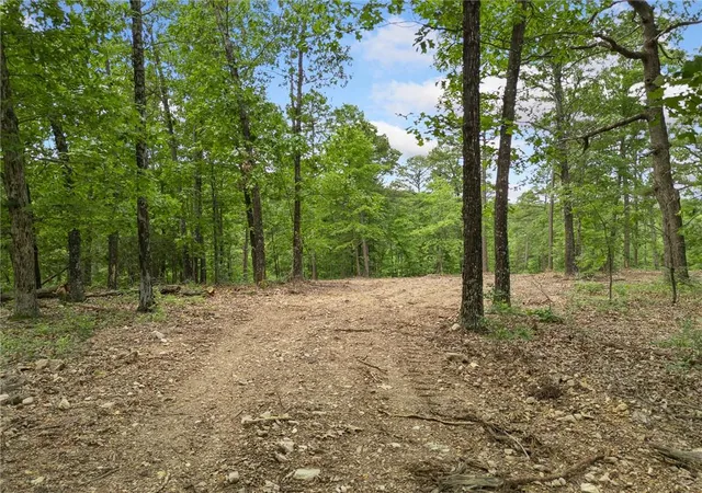 3rd image of Tbd Morgan Cave Rd, Harrison, AR 72601 | MLS# 1355972