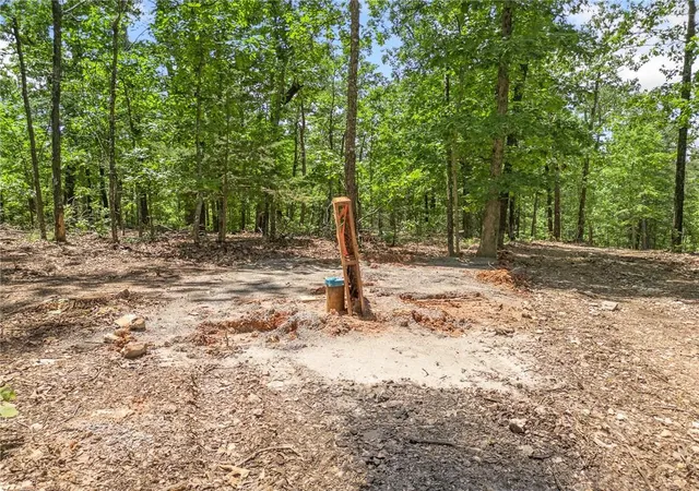 4th image of Tbd Morgan Cave Rd, Harrison, AR 72601 | MLS# 1355972
