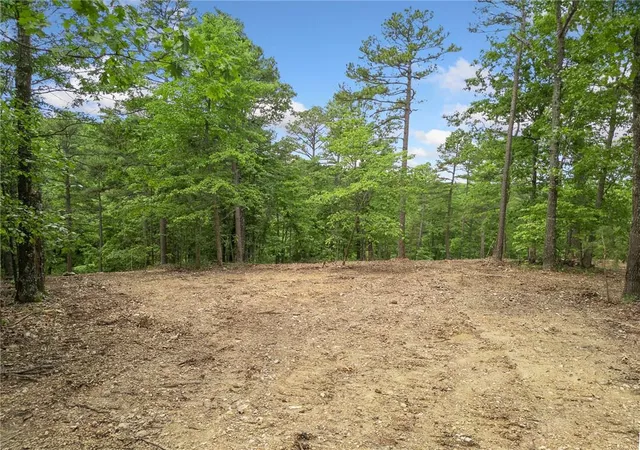 5th image of Tbd Morgan Cave Rd, Harrison, AR 72601 | MLS# 1355972