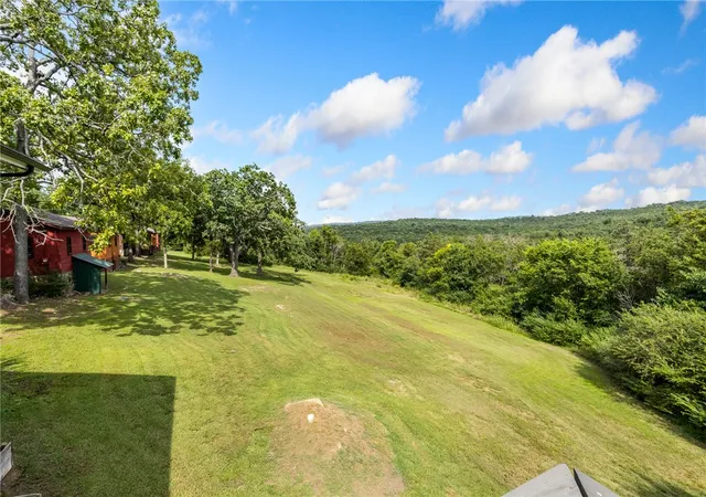 60th image of 22344 & 22364 Hwy 281 N, Lead Hill, AR 72644 | MLS# 1355496