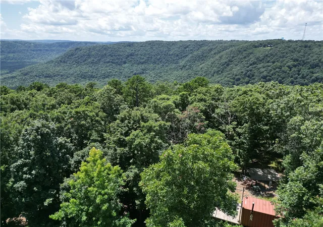 2nd image of 556 Nc 6077, Jasper, AR 72641 | MLS# 1355669