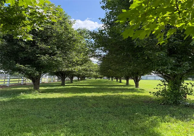 42nd image of 18710 Strawberry Plant Rd, Fayetteville, AR 72704 | MLS# 1356018