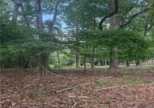 13th image of Lot 21 Mundell Rd, Eureka Springs, AR 72631 | MLS# 1356079