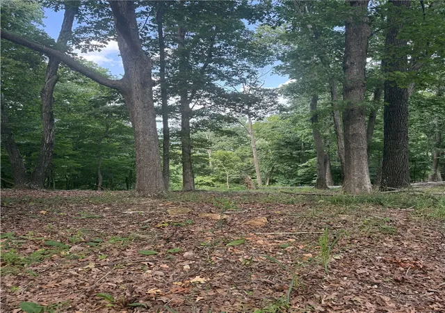2nd image of Lot 21 Mundell Rd, Eureka Springs, AR 72631 | MLS# 1356079