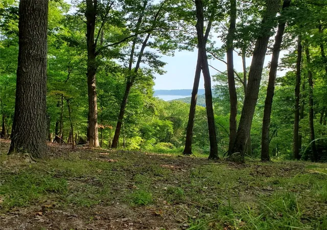Photo 3 of Land for sale at Lot 21 Mundell Rd, Eureka Springs, AR 72631 | MLS# 1356079 | Listing updated on 2026-09-25