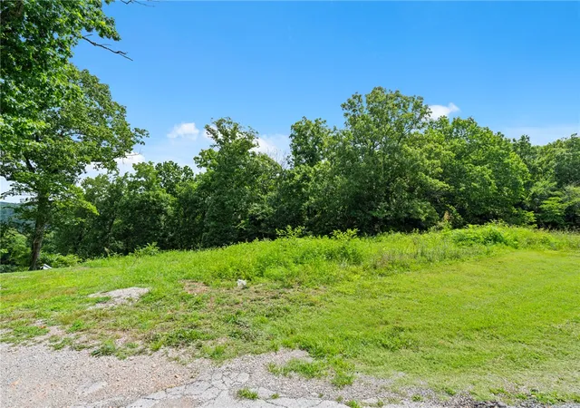 2nd image of Tbd Boat Dock Road West, Omaha, AR 72662 | MLS# 1355623