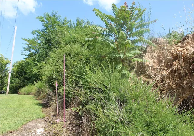 3rd image of 019-02950-000 Horseshoe Bend Dr, Lead Hill, AR 72644 | MLS# 1356249