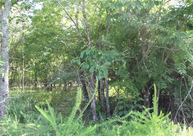 5th image of 019-02950-000 Horseshoe Bend Dr, Lead Hill, AR 72644 | MLS# 1356249