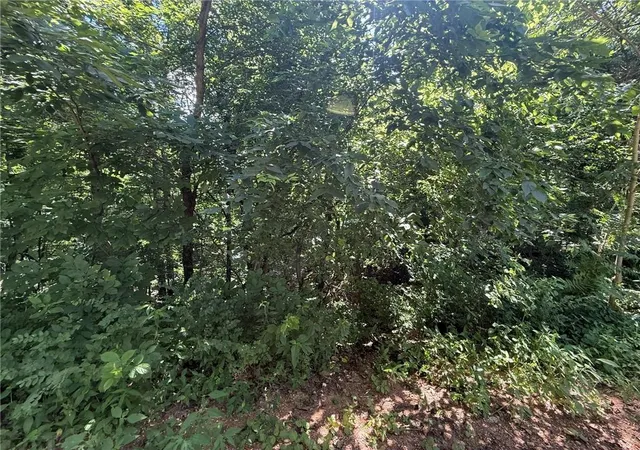 1st image of Tbd   354 Acres Bethel Rd, Gravette, AR 72736 | MLS# 1356248
