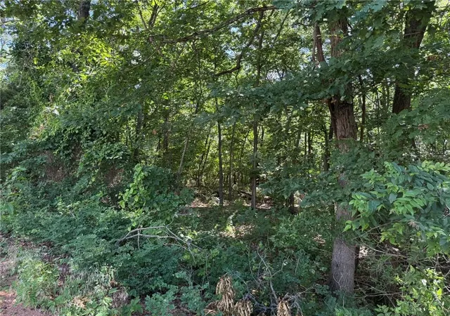 4th image of Tbd   354 Acres Bethel Rd, Gravette, AR 72736 | MLS# 1356248