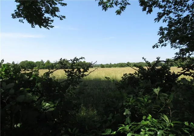 4th image of Tbd   22 Ac Bethel Rd, Gravette, AR 72736 | MLS# 1356333