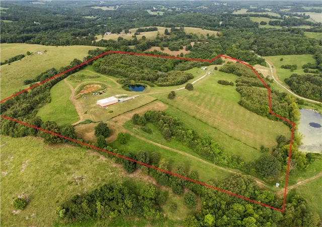 Photo 2 of Land for sale at Tbd (35 Acres) Donkey Trl, Everton, AR 72633 | MLS# 1356328 | Listing updated on 2026-10-02