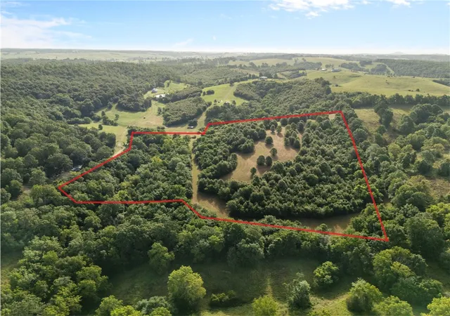 1st image of Tbd (24 Acres) Donkey Trl, Everton, AR 72633 | MLS# 1356347