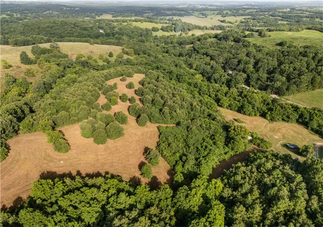 2nd image of Tbd (24 Acres) Donkey Trl, Everton, AR 72633 | MLS# 1356347