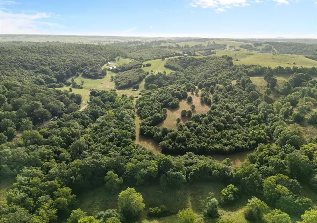 3rd image of Tbd (24 Acres) Donkey Trl, Everton, AR 72633 | MLS# 1356347