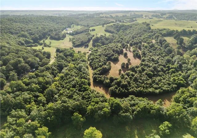 4th image of Tbd (24 Acres) Donkey Trl, Everton, AR 72633 | MLS# 1356347