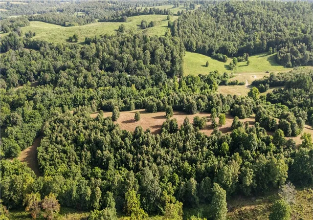 5th image of Tbd (24 Acres) Donkey Trl, Everton, AR 72633 | MLS# 1356347