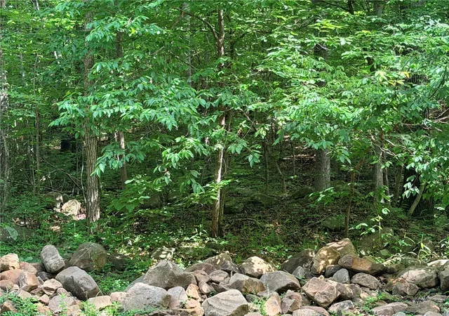 1st image of 000 Terrapin Rd, Harrison, AR 72601 | MLS# 1356259
