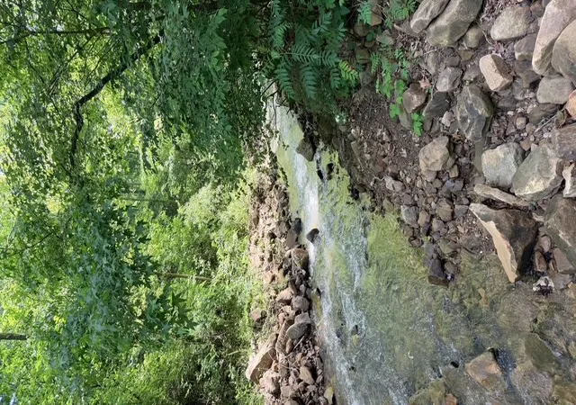2nd image of 000 Terrapin Rd, Harrison, AR 72601 | MLS# 1356259